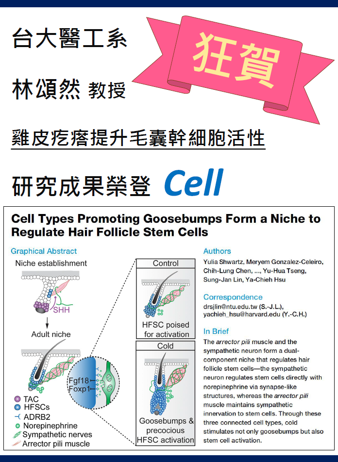林頌然特聘教授 「雞皮疙瘩提升毛囊幹細胞活性」研究成果榮登Cell期刊